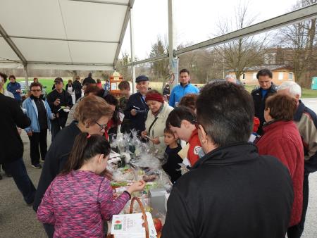 Regijska prireditev ob slovenskem Tednu boja proti raku »Evropski kodeks = manj raka« 29
